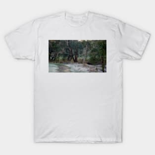 Frosty Morning - Adelaide Hills - Fleurieu Peninsula by South Australian artist Avril Thomas T-Shirt